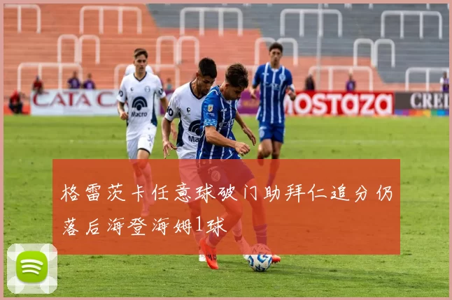格雷茨卡任意球破门助拜仁追分仍落后海登海姆1球